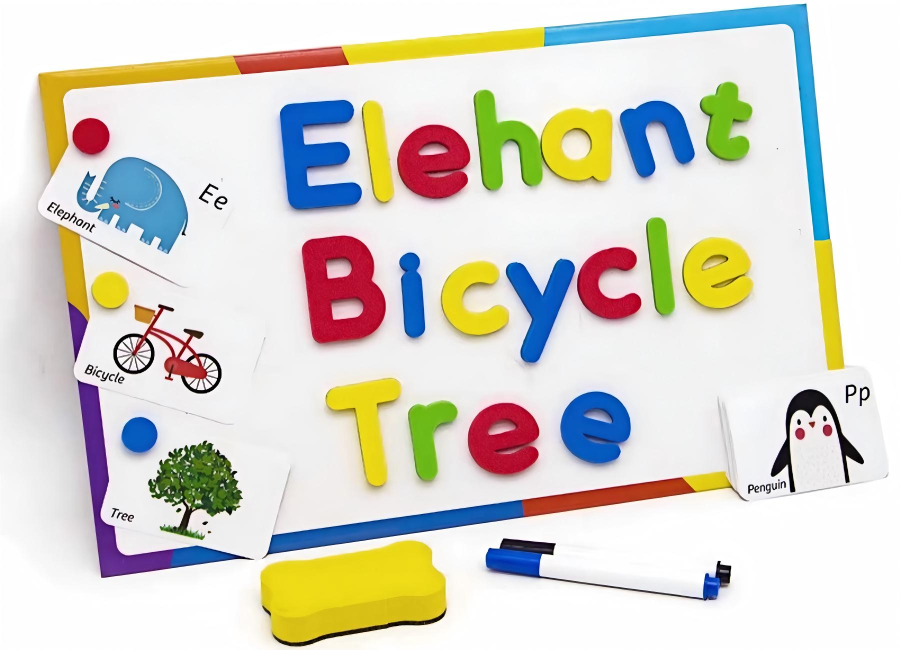 Magnets for Education & Daily Life